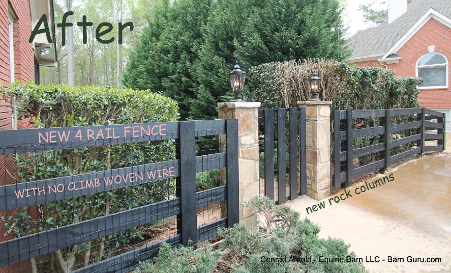 Fence Horse In Georgia