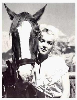 Exceptional Design - Eceptional Build Quality - Exceptional Value
